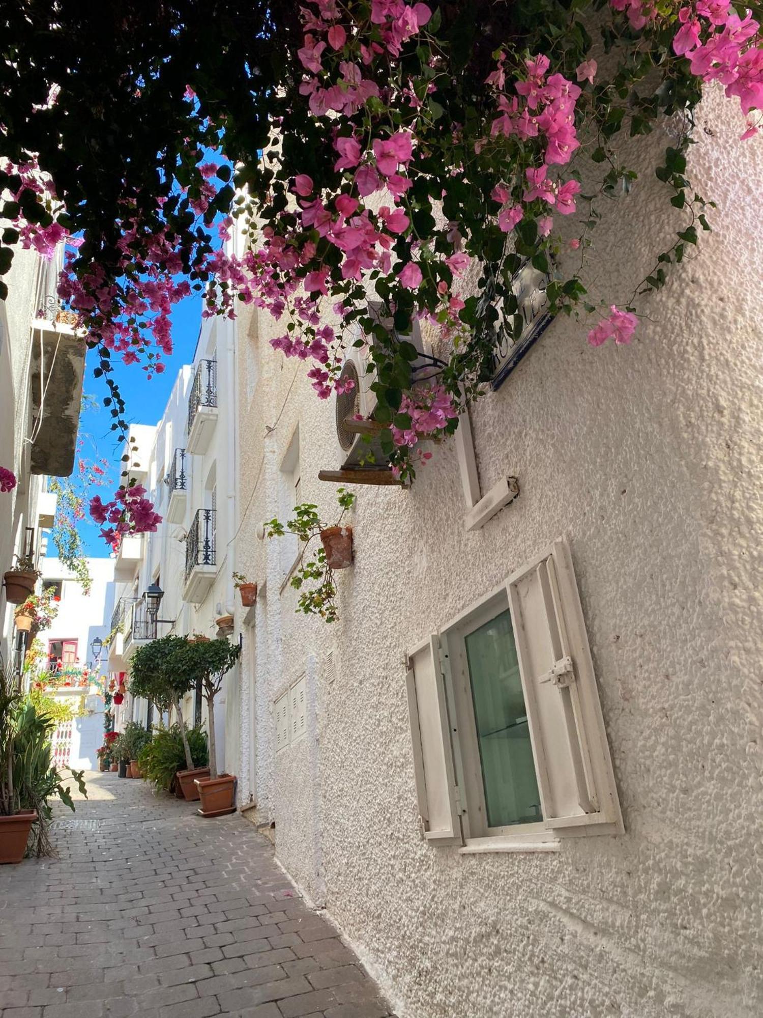 Aura Mar Mojacar Apartment Dış mekan fotoğraf